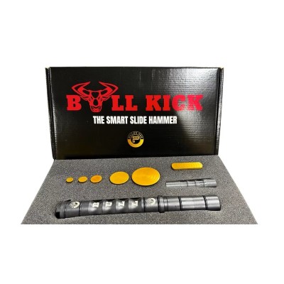 Pillon Bull Kick Kit 1