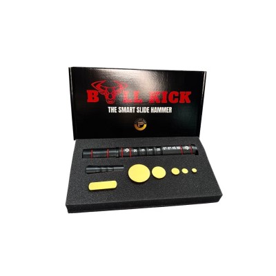 Pillon Bull Kick kit 2